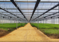 土地流转方面的创新点