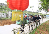 土地流转成功案例