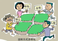 土地流转指的是