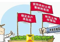 农村土地流转新政策