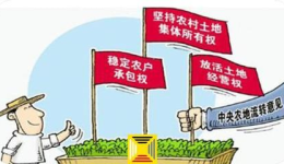 农村土地流转新政策