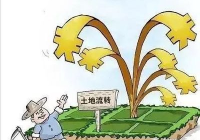 土地流转的政策法规有哪些