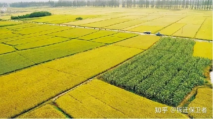 农村土地流转合法吗?