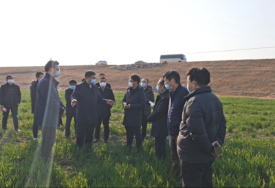 土地流转经验介绍