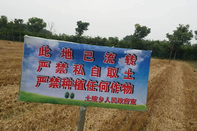 土地流转政策宣传标语