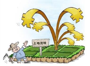 土地流转后被征用,钱应该给谁