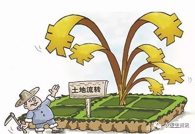 土地流转是一种什么行为