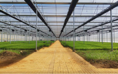 土地流转新闻稿