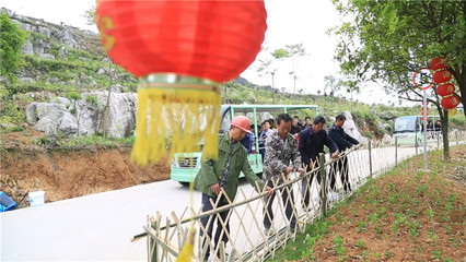 土地流转成功案例有哪些