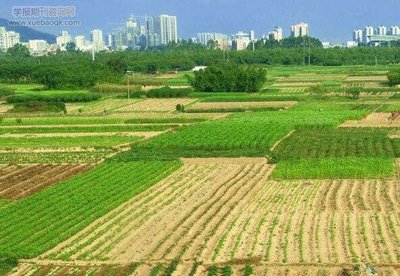 土地流转促进产业发展