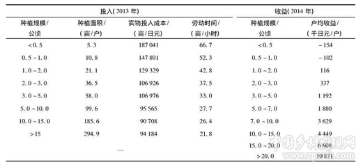 土地流转效益分析