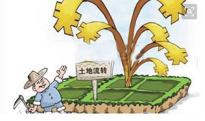 土地流转失败案例