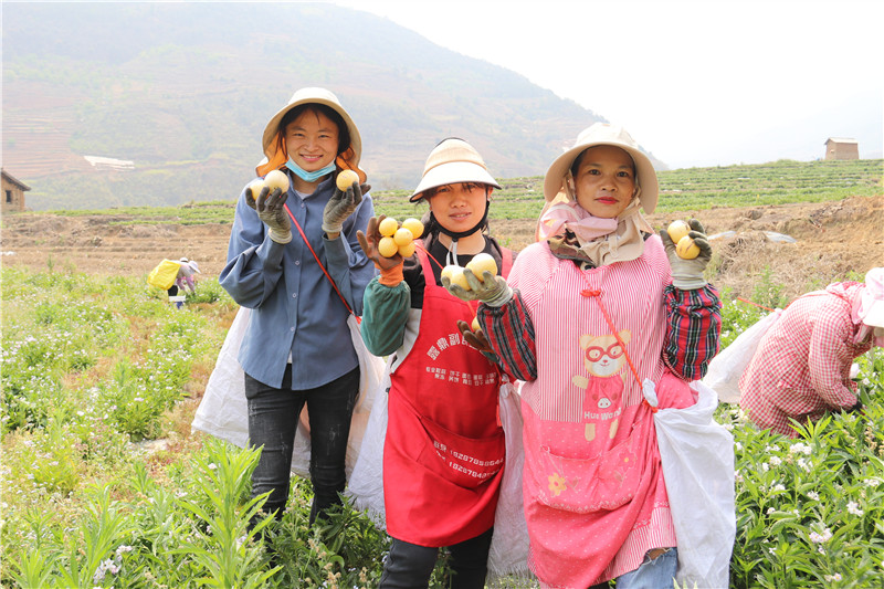 农村土地流转有什么好处和坏处