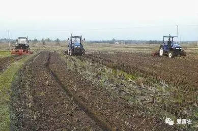 农村土地流转好不好