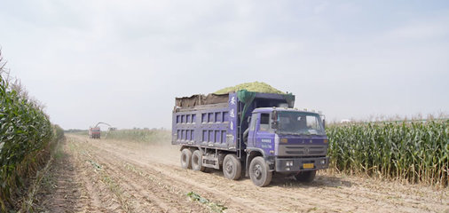 土地流转新闻稿件