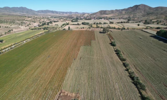 土地流转实例简介