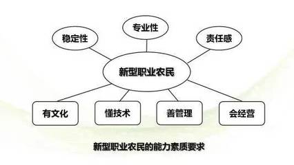 新型土地流转机制