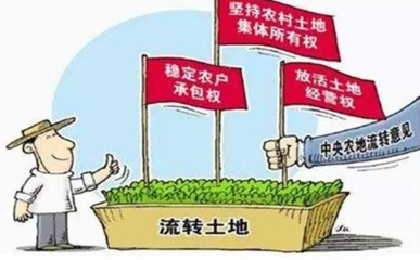 土地流转政策宣传图片