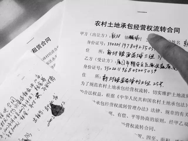 土地流转合同怎样写有效