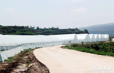 合作社 土地流转