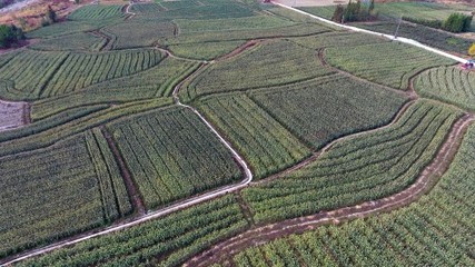 土地流转管理办法2021 自然资源部