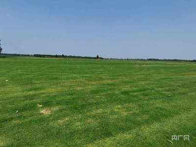 土地流转网官网河南最新