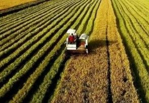 土地流转是什么意思,农民把地租出去有什么风险要注意?