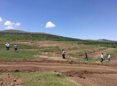 土地流转管理办法集体林地经营权流转管理办法