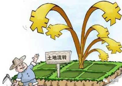 农村土地流转的合法模式有哪些