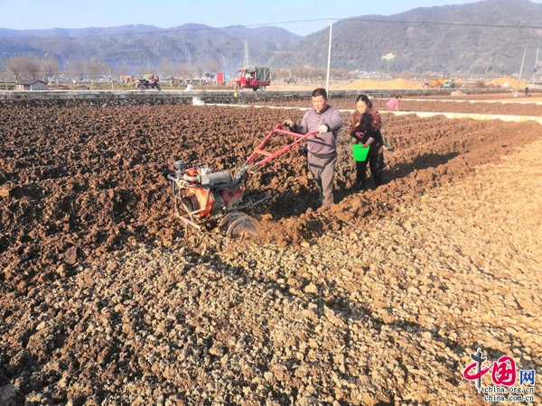 合作社土地流转新政策出台