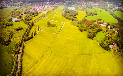 合作社土地流转费计入什么科目
