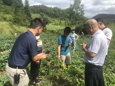 开展土地流转简报