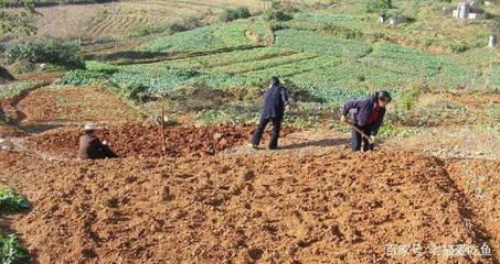农村土地流转好吗
