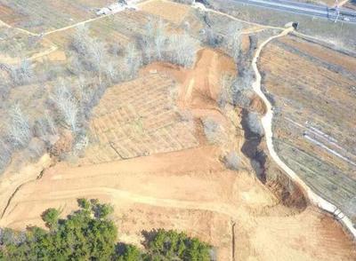 土地流转的成功案例