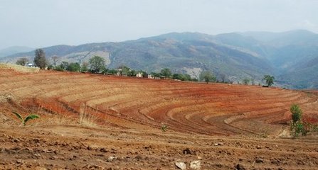 土地流转规则最新