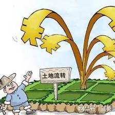 土地流转相关政策2021最新