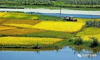 农村土地流转的概念