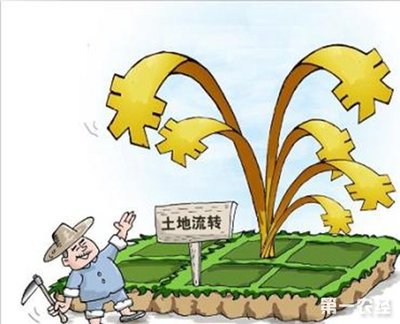 土地流转新模式新典型